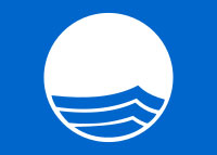 200px-Blue_Flag_Logo